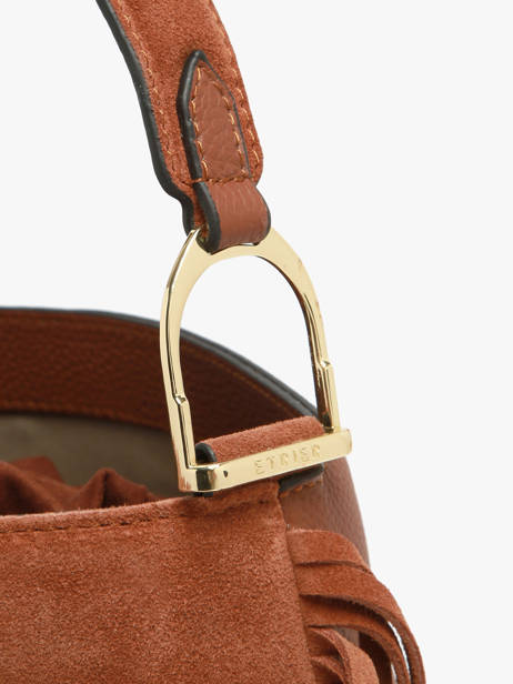 Sac Bandoulière Country Cuir Etrier Marron country ECOU161M vue secondaire 4