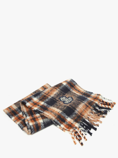 Écharpe Lauren ralph lauren Bleu textile 54P04483 vue secondaire 3